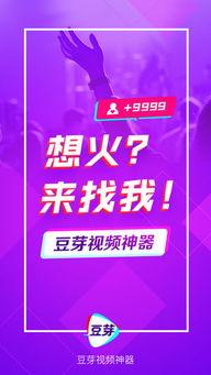 豆芽爆料视频在线观看免费,揭秘幕后真相，带你走进事件核心